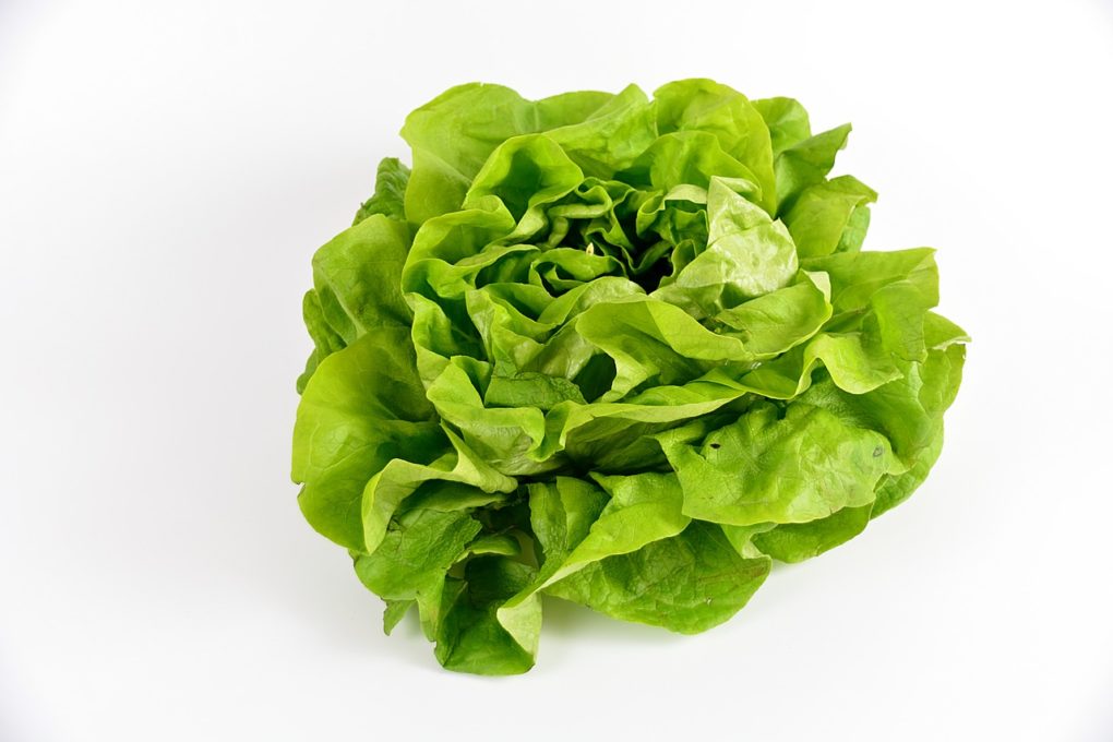insalata